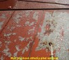 8_dsc00053.jpg